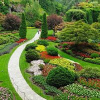 Luxury Tours