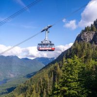 Shore Excursions