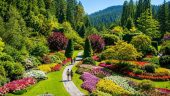 Vancouver Island Trip
