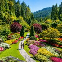 Full-day Tours
