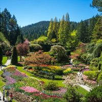 Tours & Sightseeing