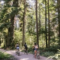 Bike & Mountain Bike Tours
