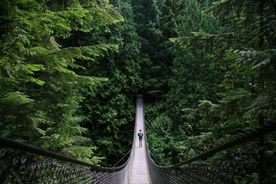 Mountain Adventure (Grouse Mountain and Capilano Suspension Bridge)