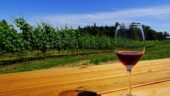 BC tours- recommended