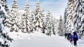 Magical snow shoe experience on Cypress Mountain