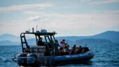 Great Time Whale Watching