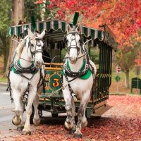 Historical & Heritage Tours