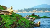 Beautiful Vancouver from the water!