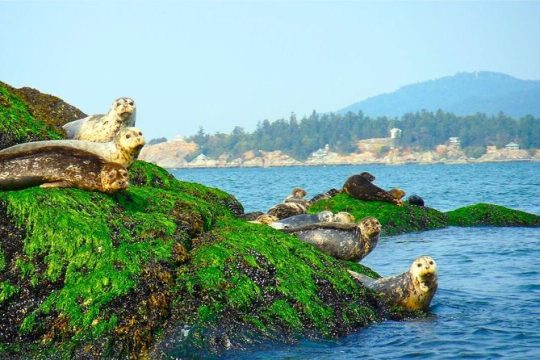 Easter in Vancouver