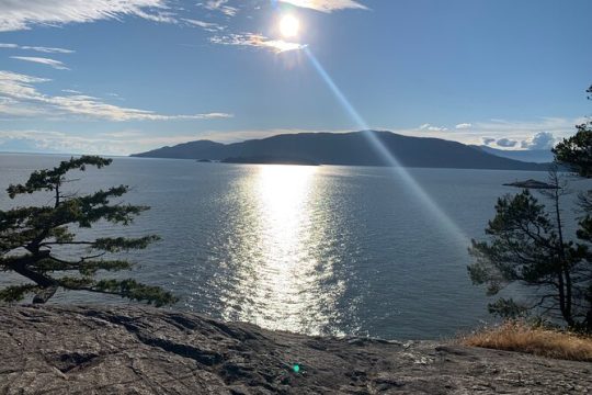 Lighthouse Park Hike