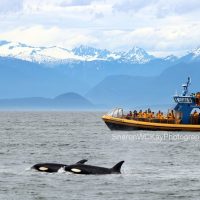 Day Trips & Excursions