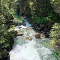 Holiday & Seasonal Tours