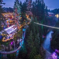 Holiday & Seasonal Tours