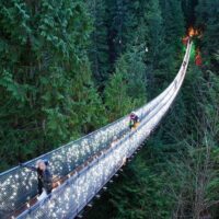 Holiday & Seasonal Tours