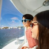 Hop-on Hop-off Tours