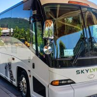 Airport & Ground Transfers