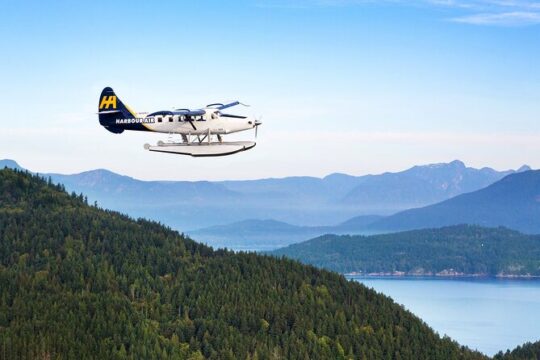 From Richmond (YVRSouth): Scenic Seaplane Transfer to Salt Spring