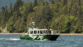Great whale watching experience!