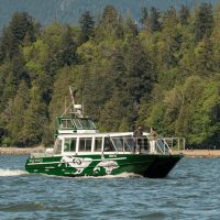 Catamaran Cruises
