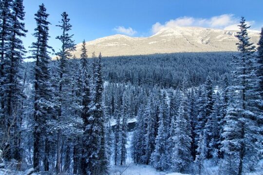 Joffre Lake, Whistler & Vallea Lumina Tour by Minivan