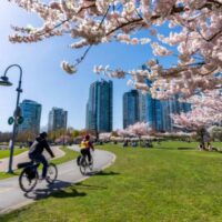 Self-guided Tours & Rentals