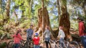 Great family activity