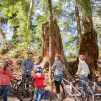 Sustainable Tours