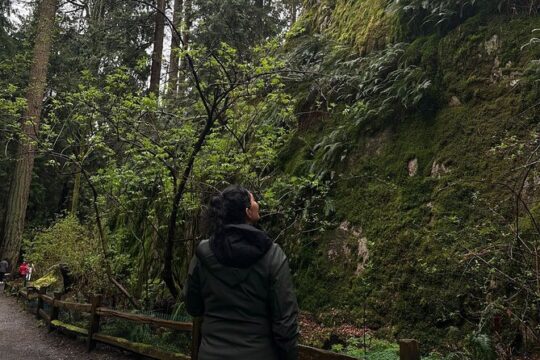 Whytecliff Park Indigenous Salish Sea Walking Tour