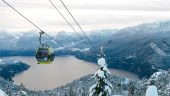 Whistler Wonderland